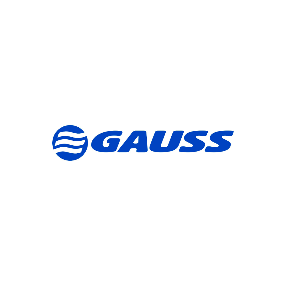Tecnologia Gauss: Inovação e Diagnóstico Técnico no Setor Automotivo