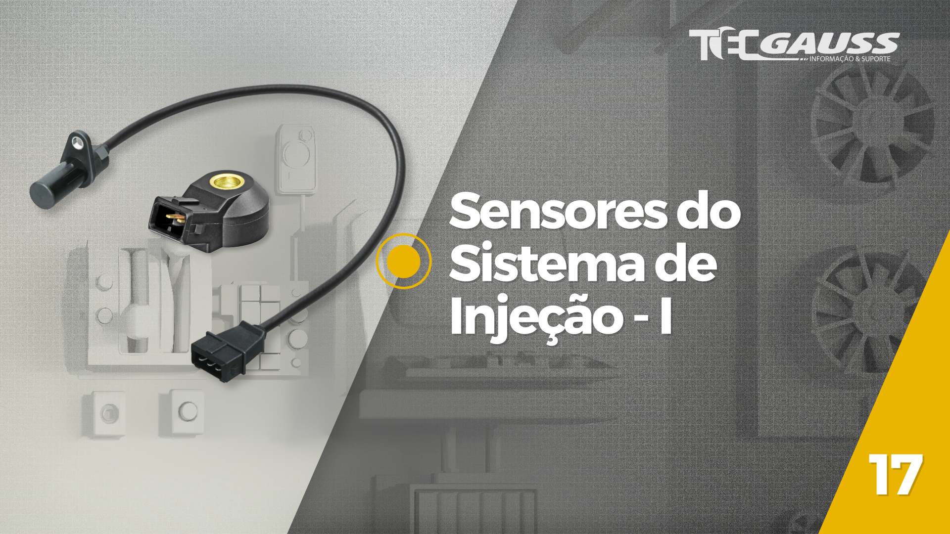 TecGauss 17 - sensores do sistema de injeção