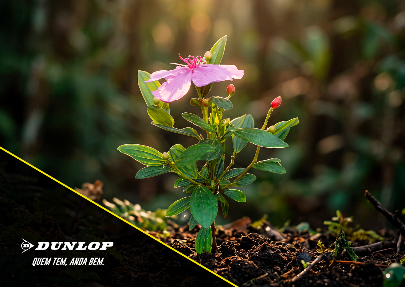 Sumitomo Rubber do Brasil divulga Relatório de Responsabilidade Social e reforça compromisso com a sustentabilidade e o desenvolvimento do país