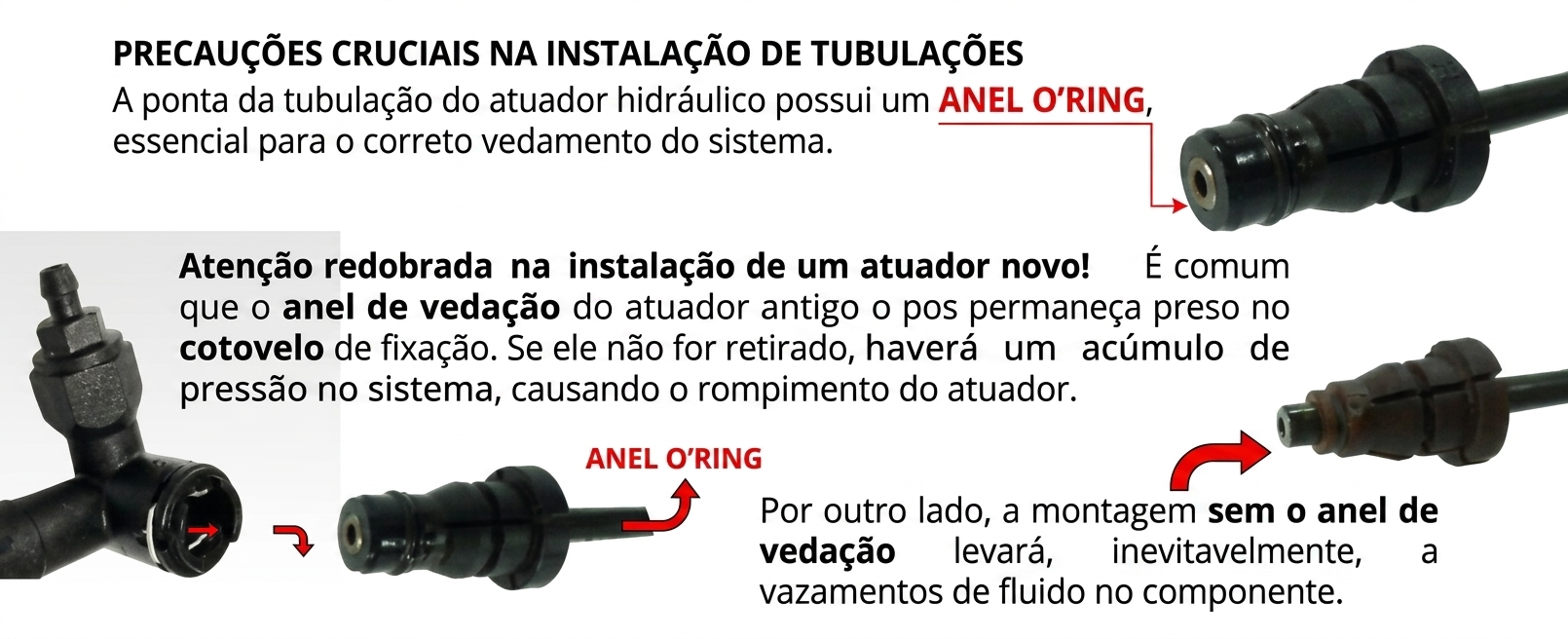Imagem sem descrição
