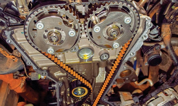 Imagem sem descrição