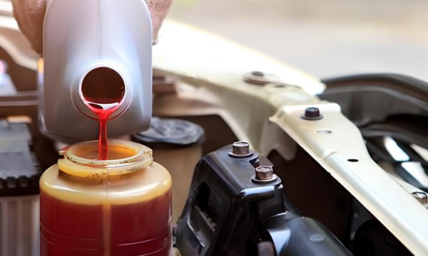 Imagem sem descrição