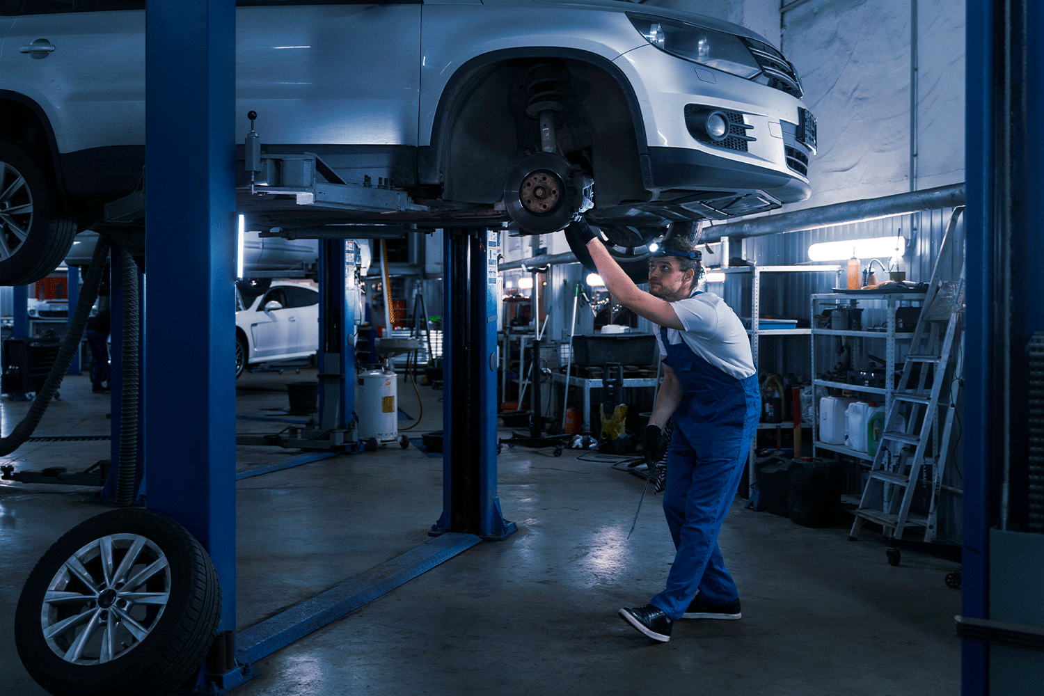 Imagem sem descrição