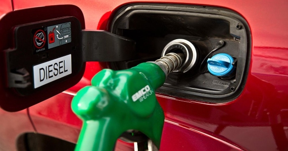 Imagem sem descrição