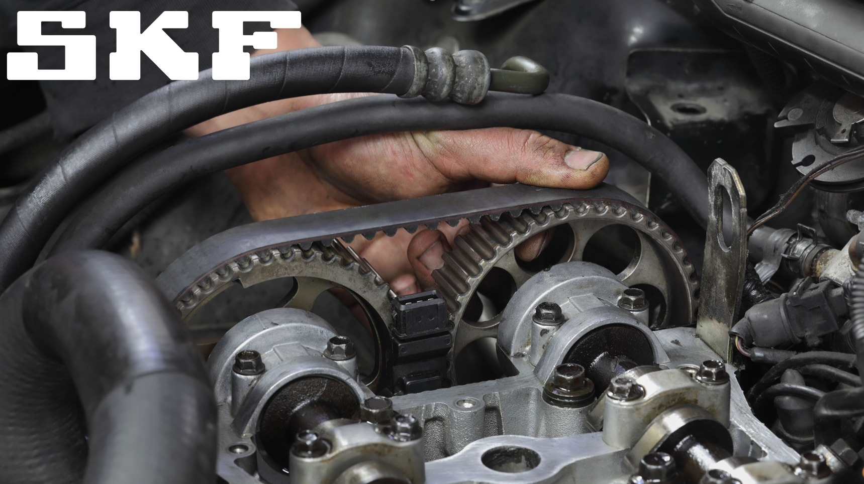 Imagem sem descrição